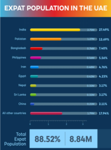 living in dubai expat