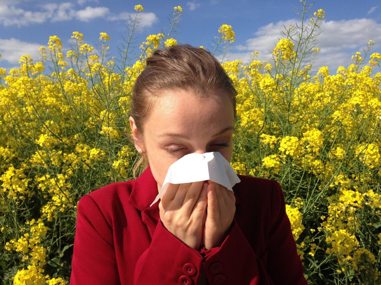 Seasonal allergies: good practices and how to treat them