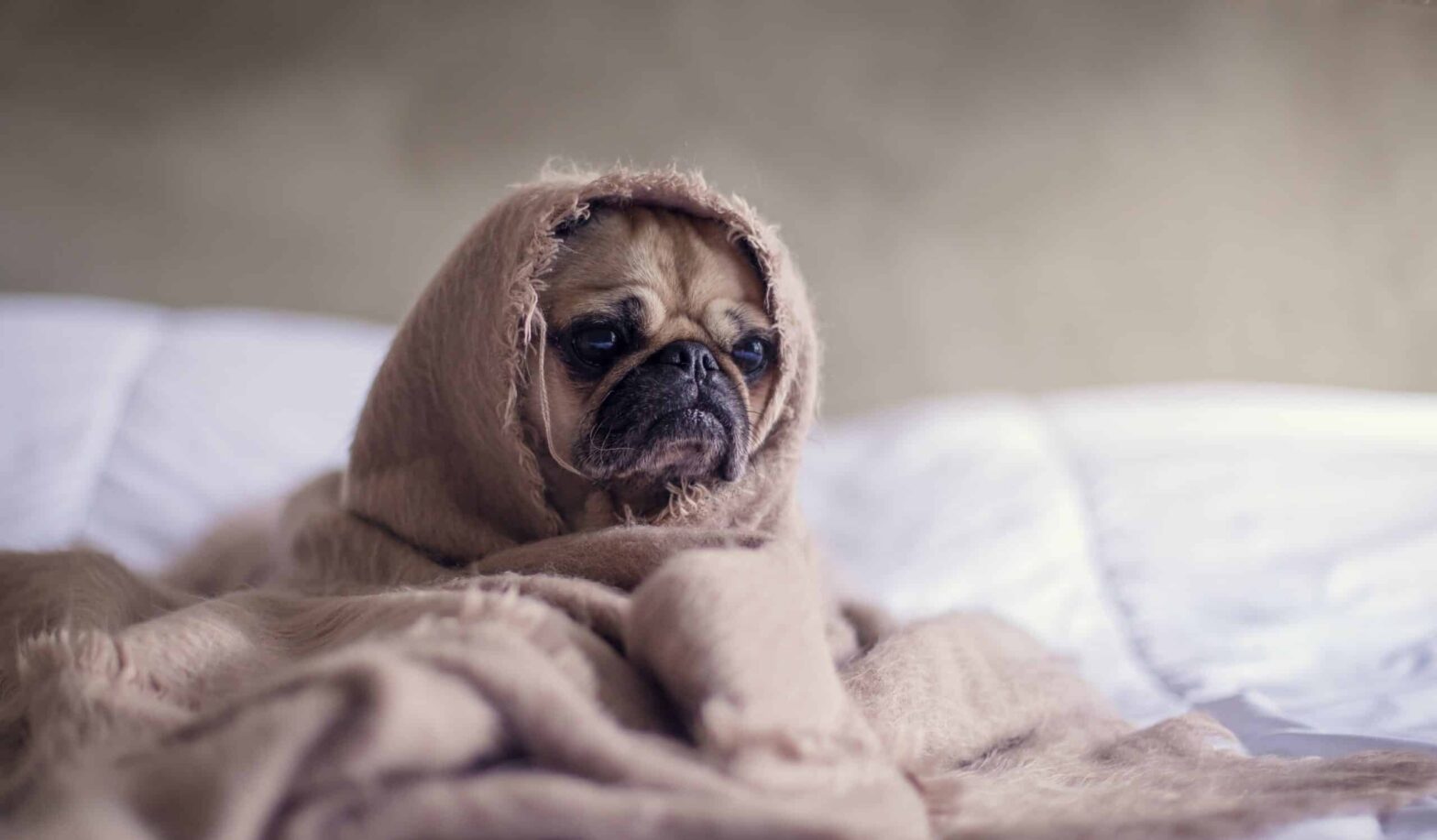 Qu’est-ce que le Blue Monday?