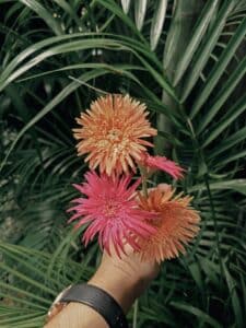 flower philippines