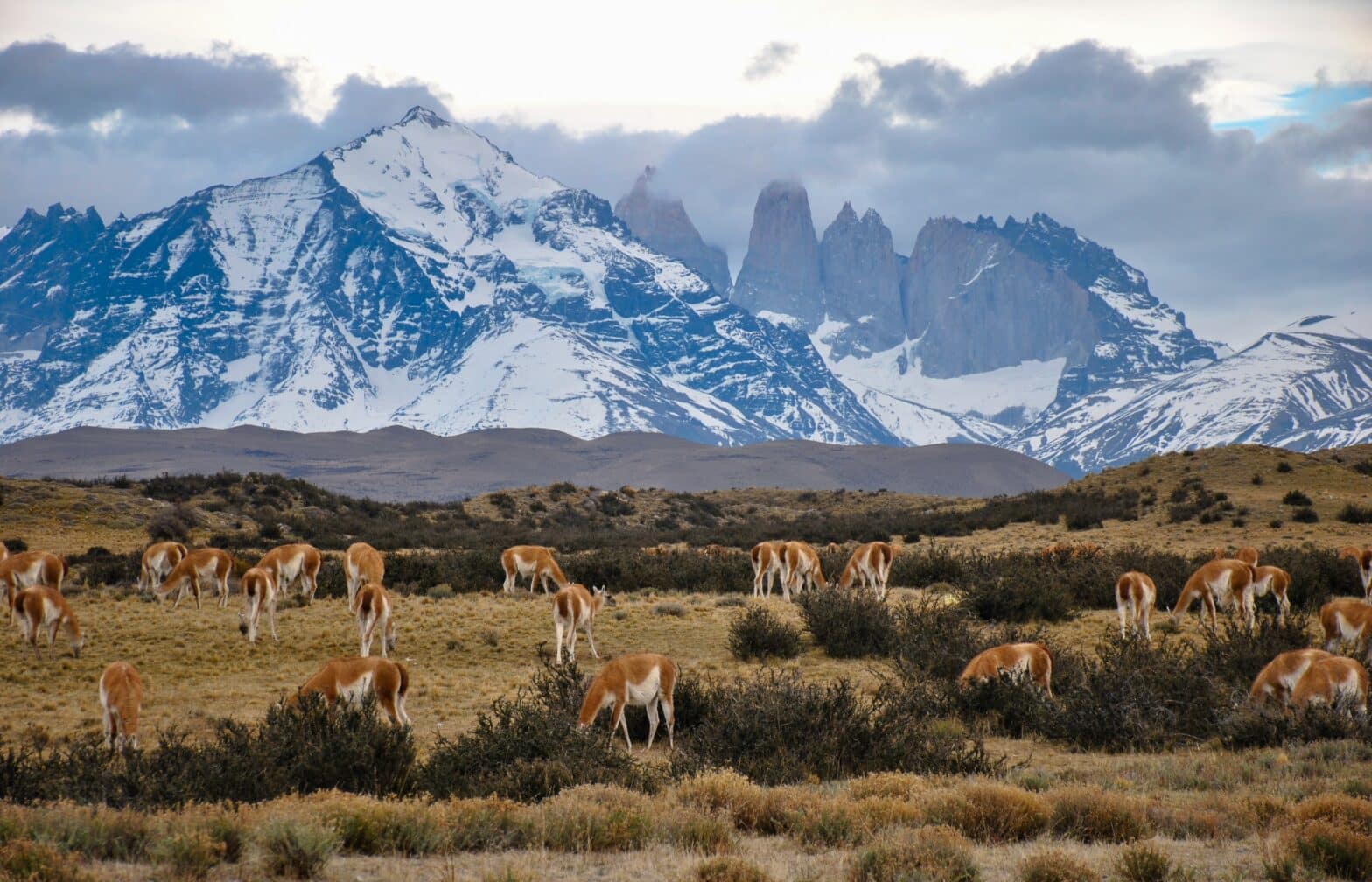 Auslandskrankenversicherung für Expats in Chile