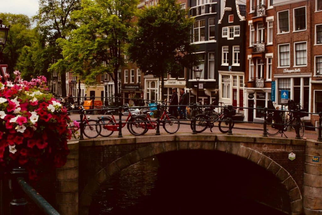 living in the netherlands as expat