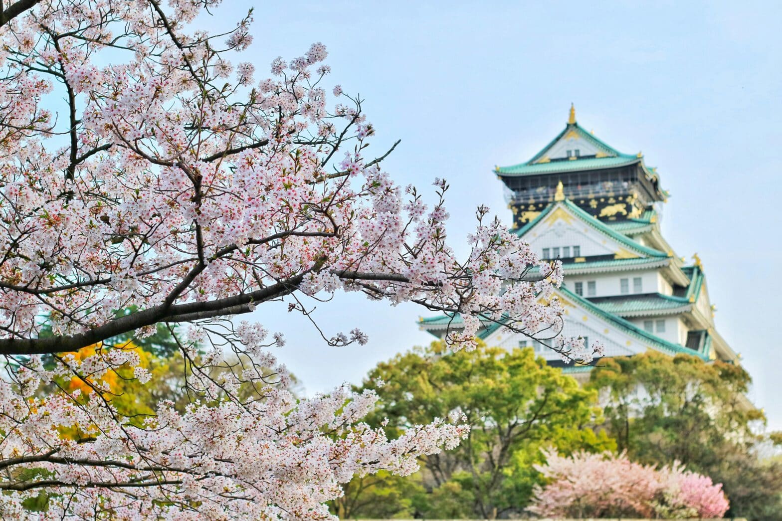 Die Lebenshaltungskosten in Japan