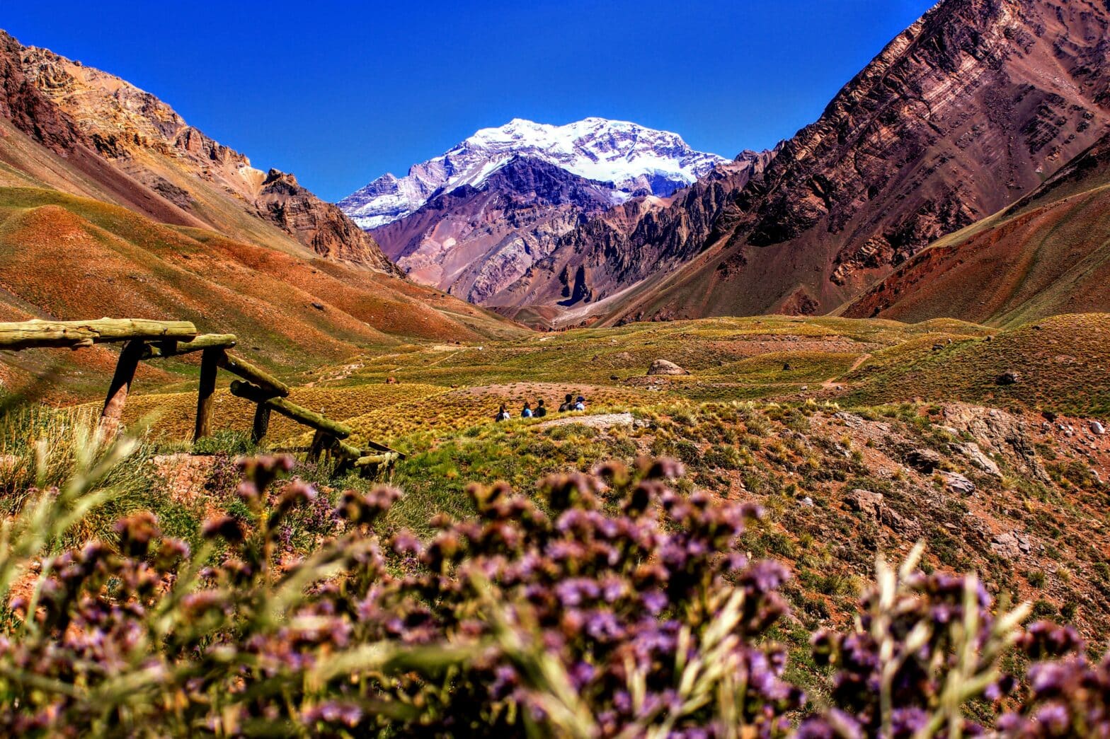 The cost of living in Argentina