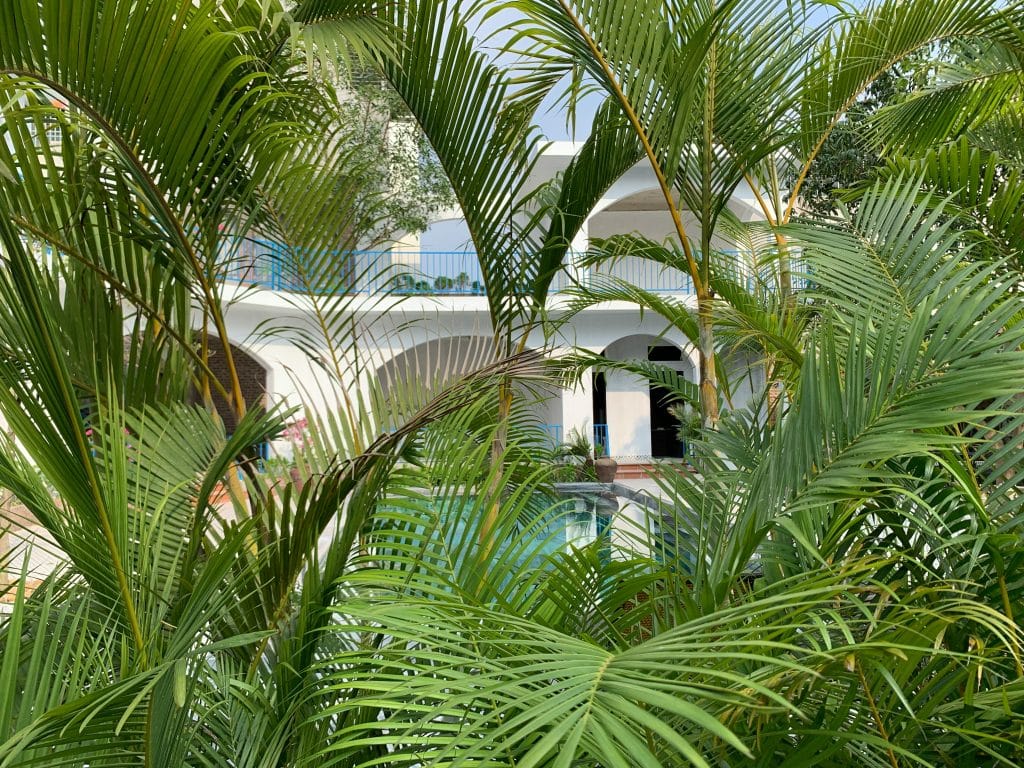 House with a swimming pool, white walls and blue railings, surrounded by palm trees on a paradise island.
